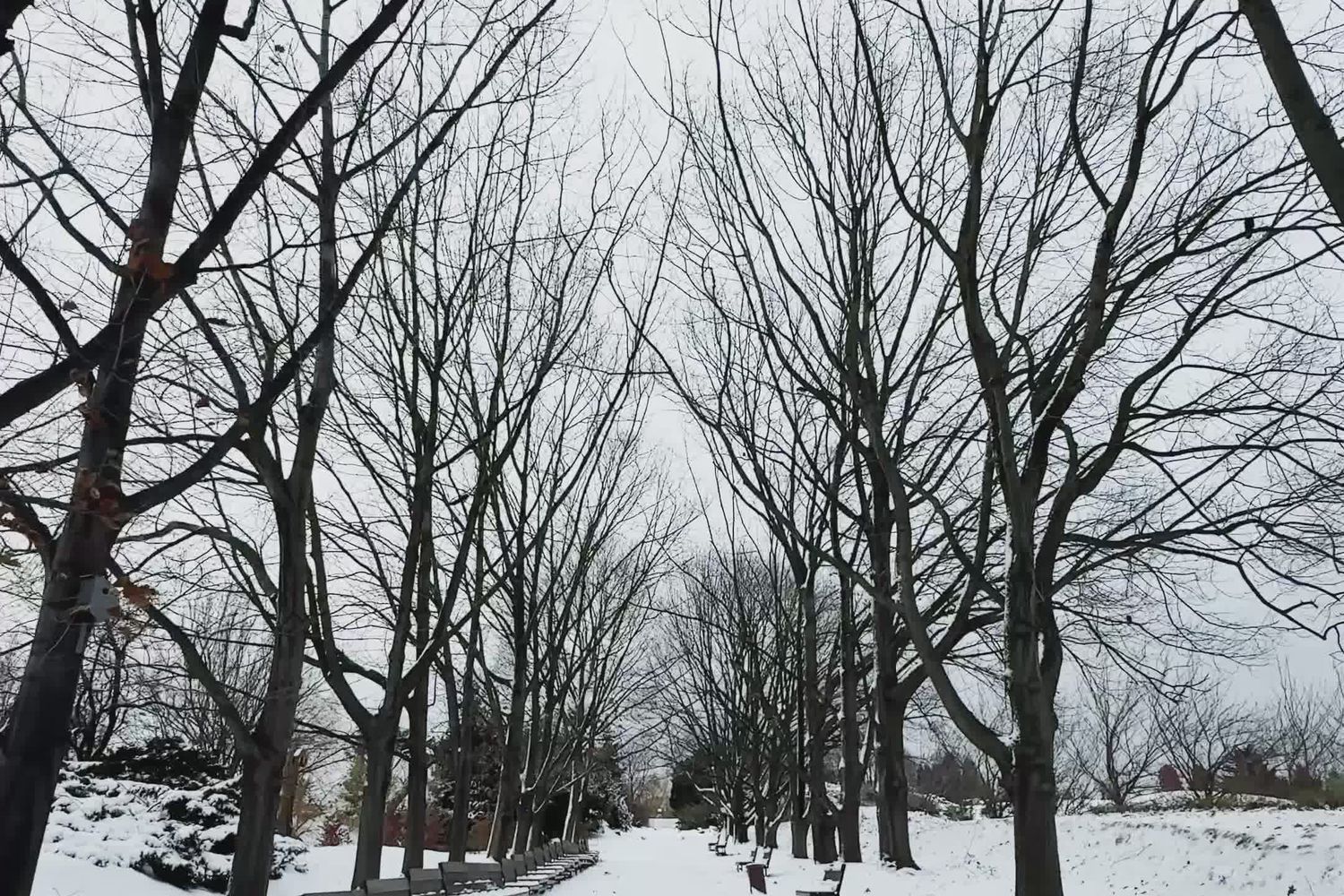 Cold Videos Cold Place Videos, Download The BEST Free 4k Stock Video Footage & Cold ...