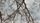 tree branches