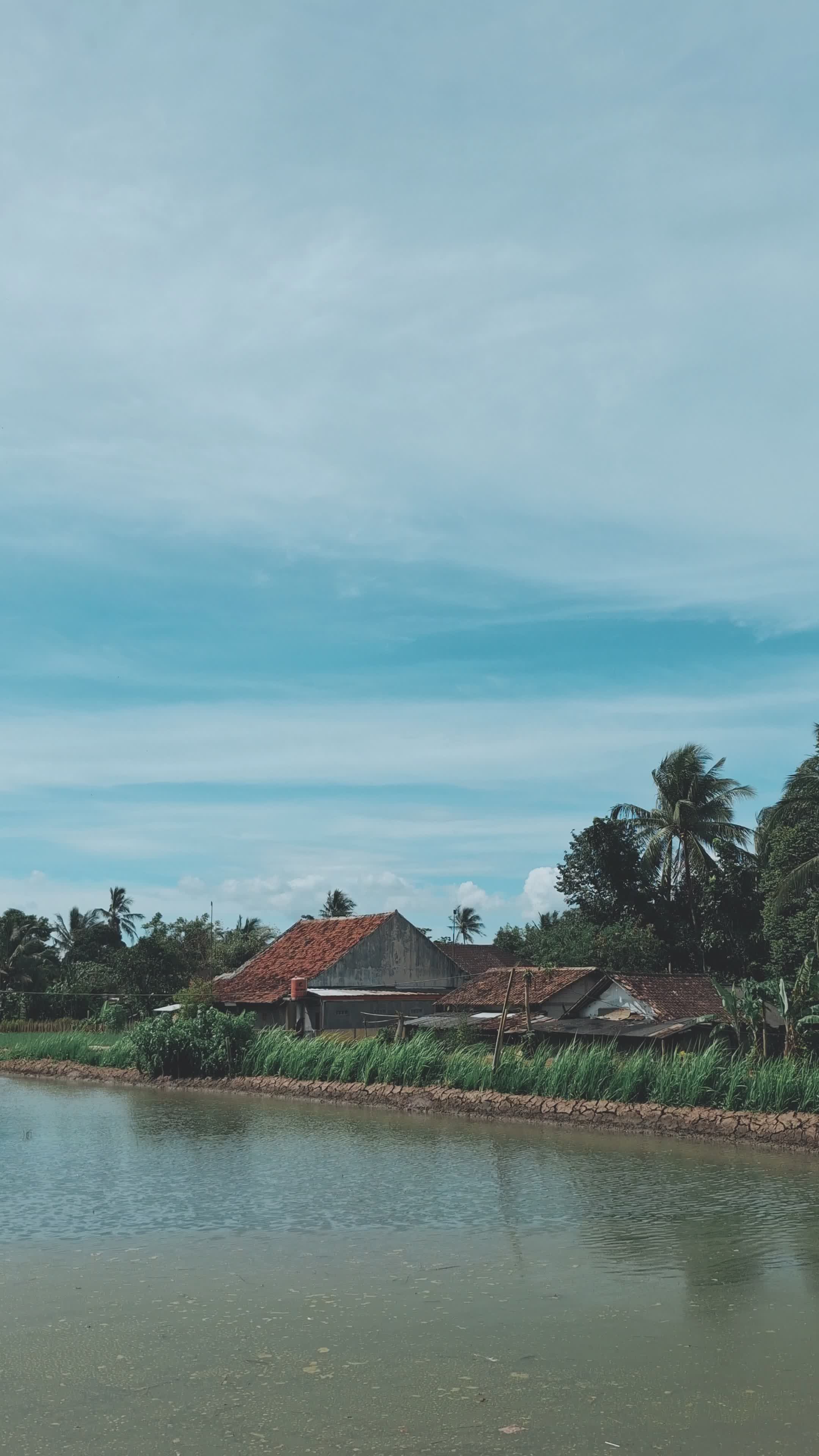 Serene Lakeside Village with Lush Greenery Free Stock Video Footage ...