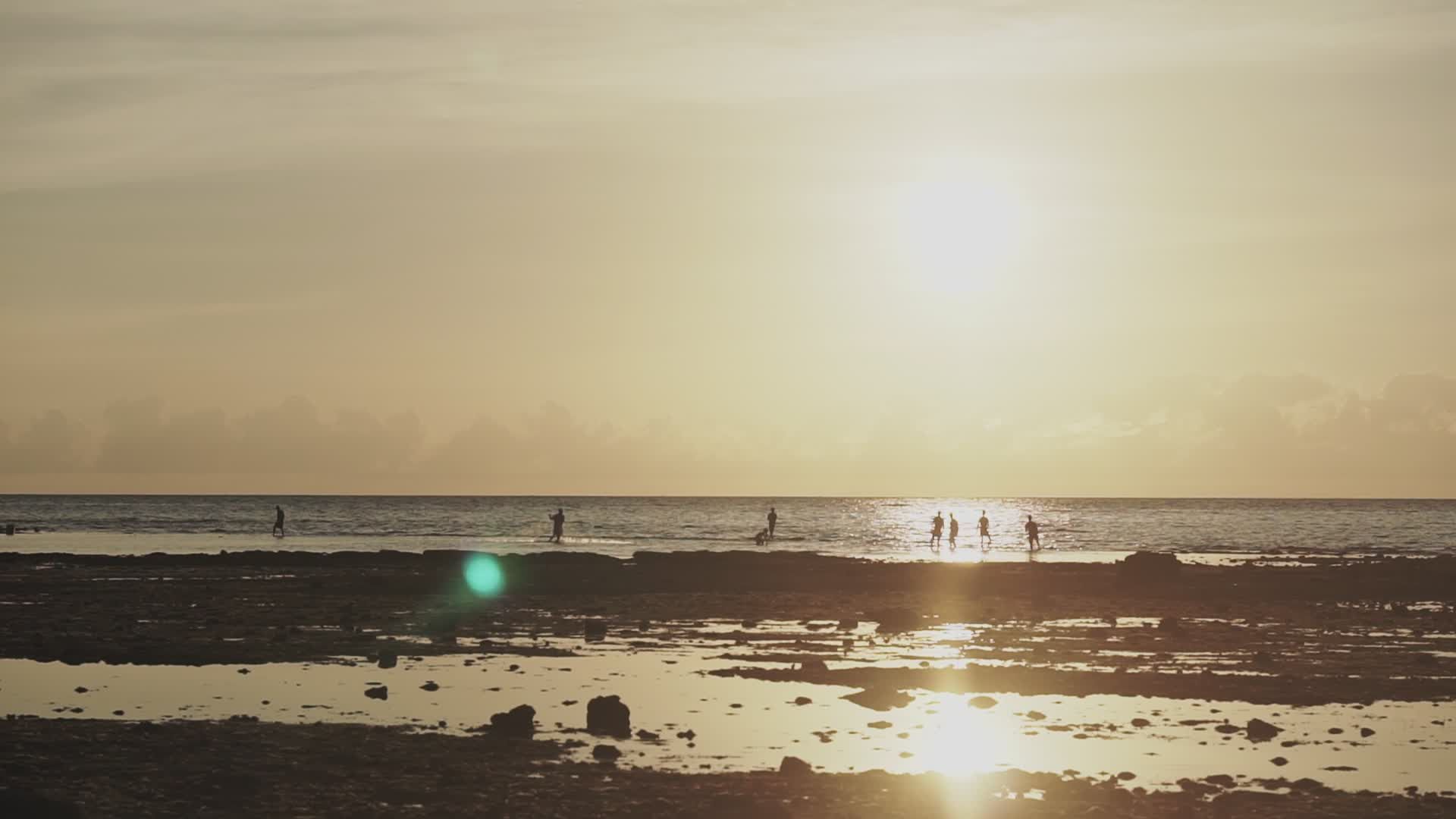 Serene Sunset Beach with Silhouetted People Free Stock Video Footage ...