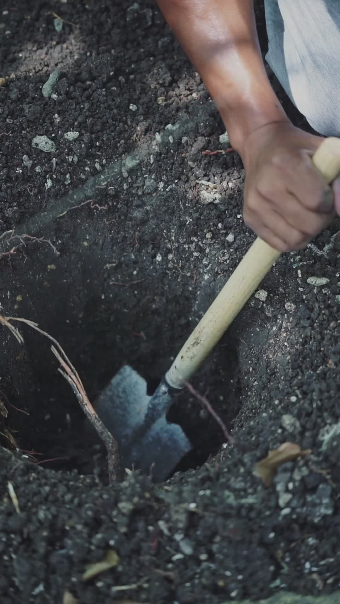 Gardening Scene: Man Digging Hole in Soil Free Stock Video Footage ...