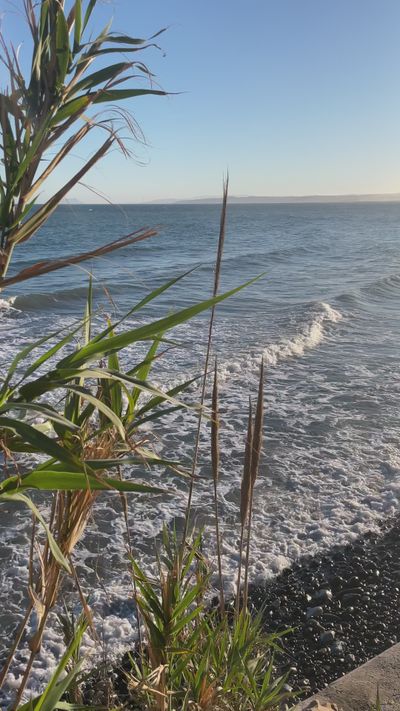 Lumina's ocean waves sunset video
