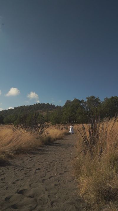 Omar Tapia's nature timelapse video