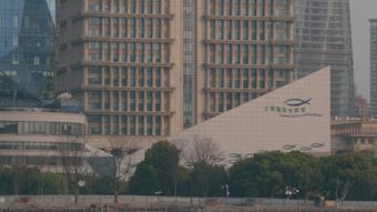 浦东中建广场视频素材