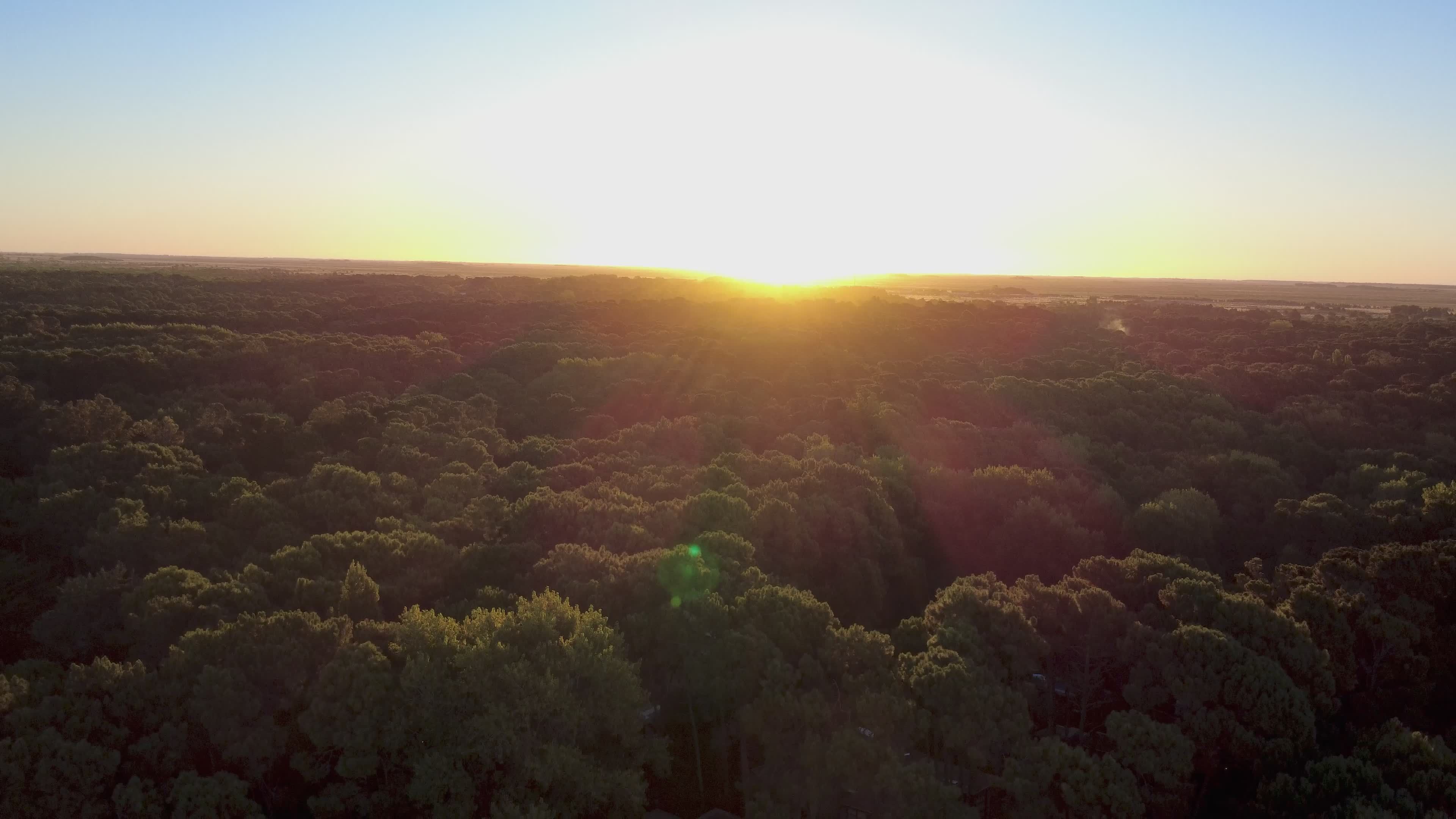 aerial view of sunset over dense woodland 36948285