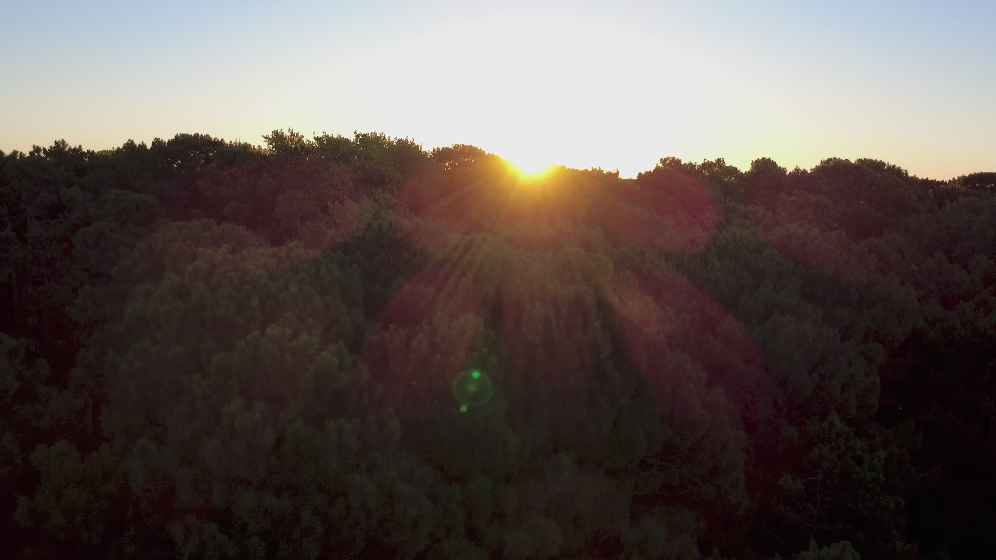 Video by Alex Dos Santos
