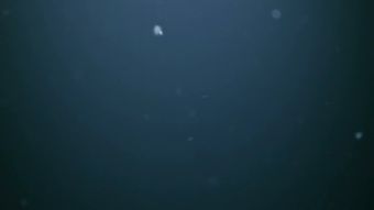 背景视频高清视频视频素材视频素材免费下载视频素材