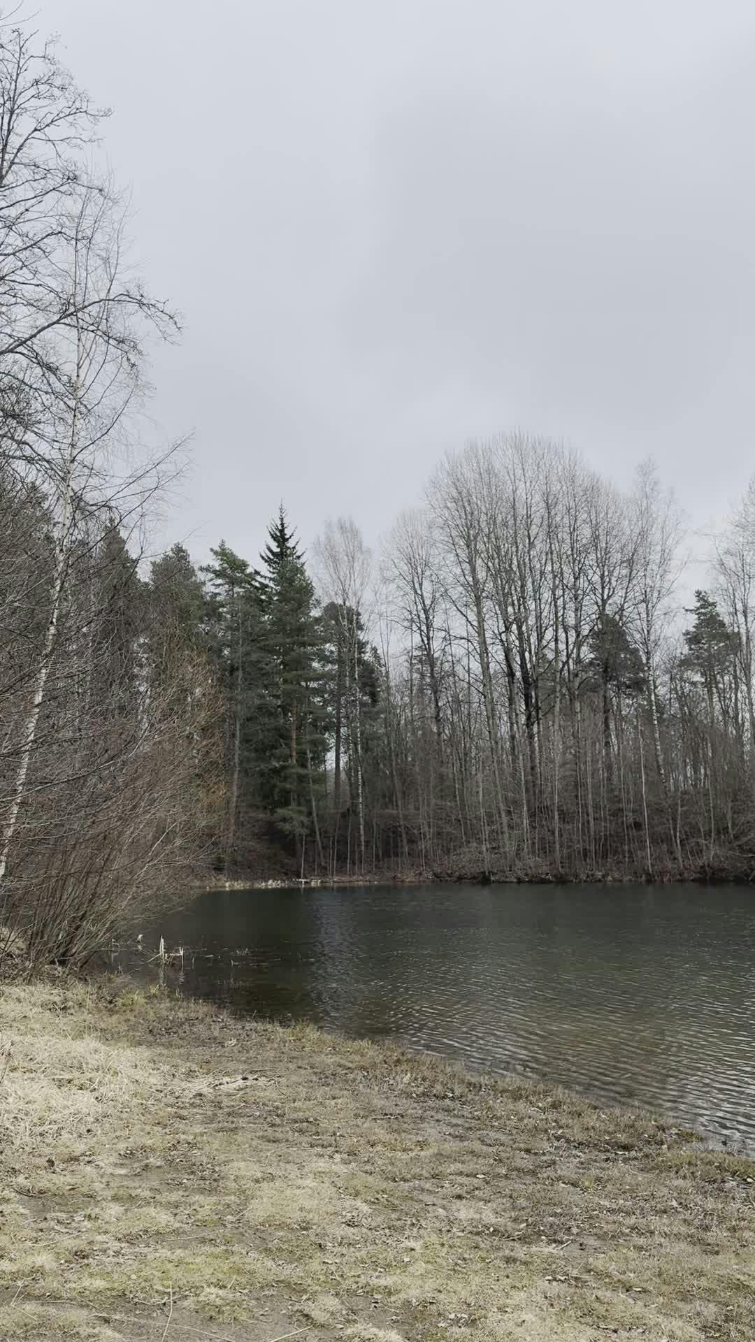 serene riverside landscape in early spring 36960548