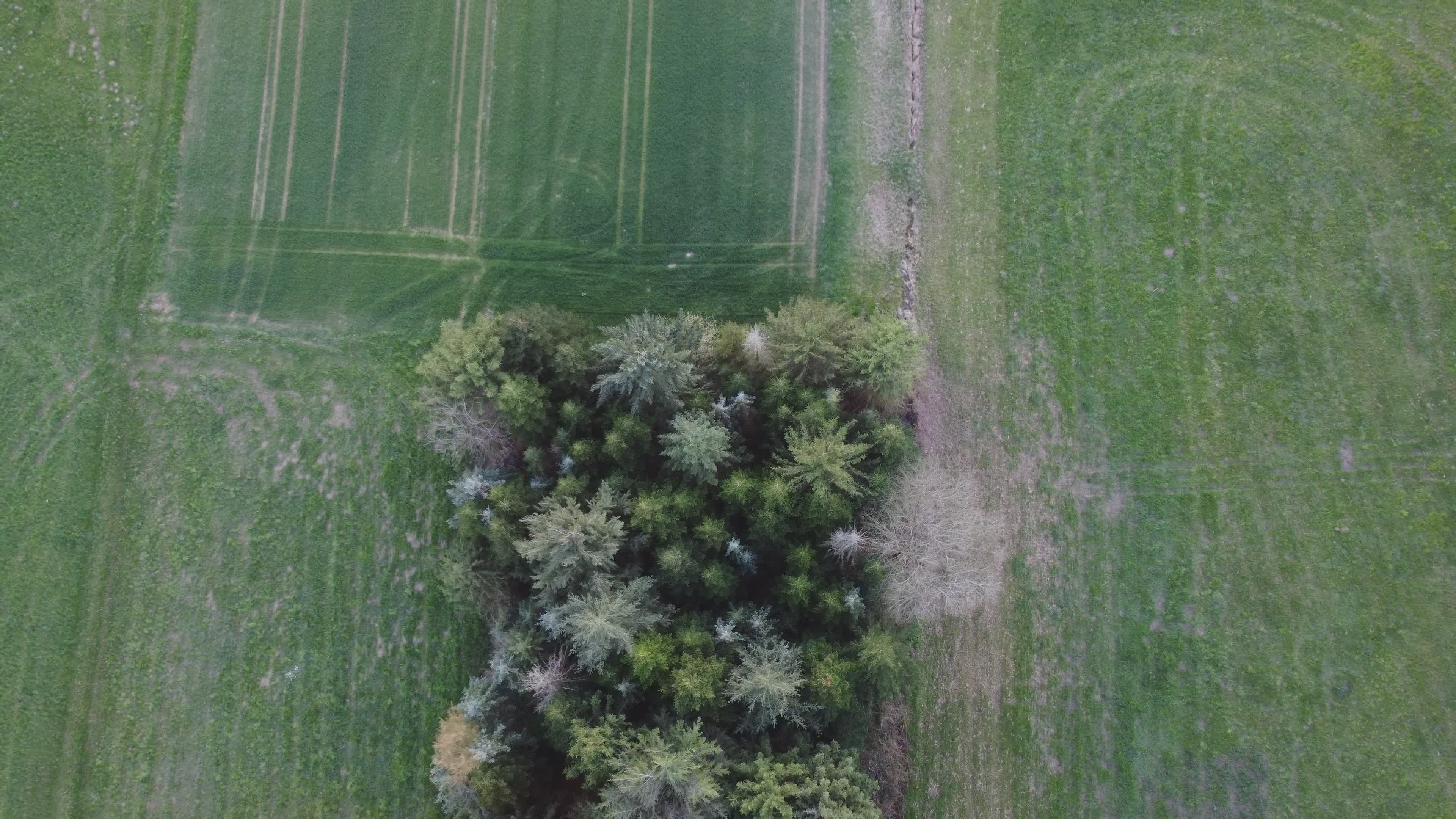 Aerial View of Lush Green Farmland and Trees Free Stock Video Footage ...