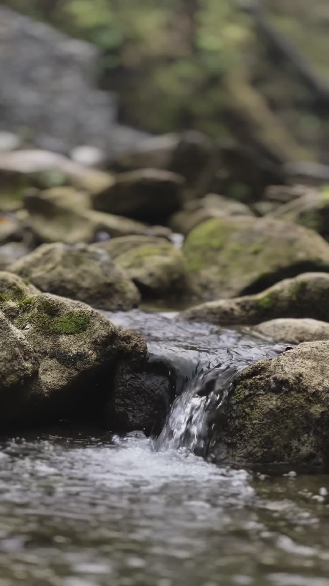 scenic river stream flowing over mossy rocks 36986550