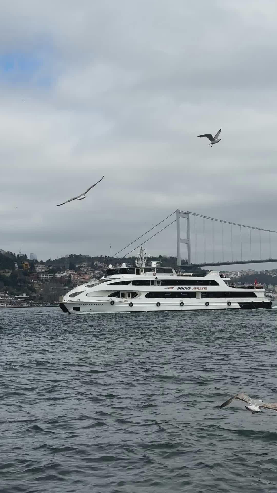 Video by Zeynep Coşkun