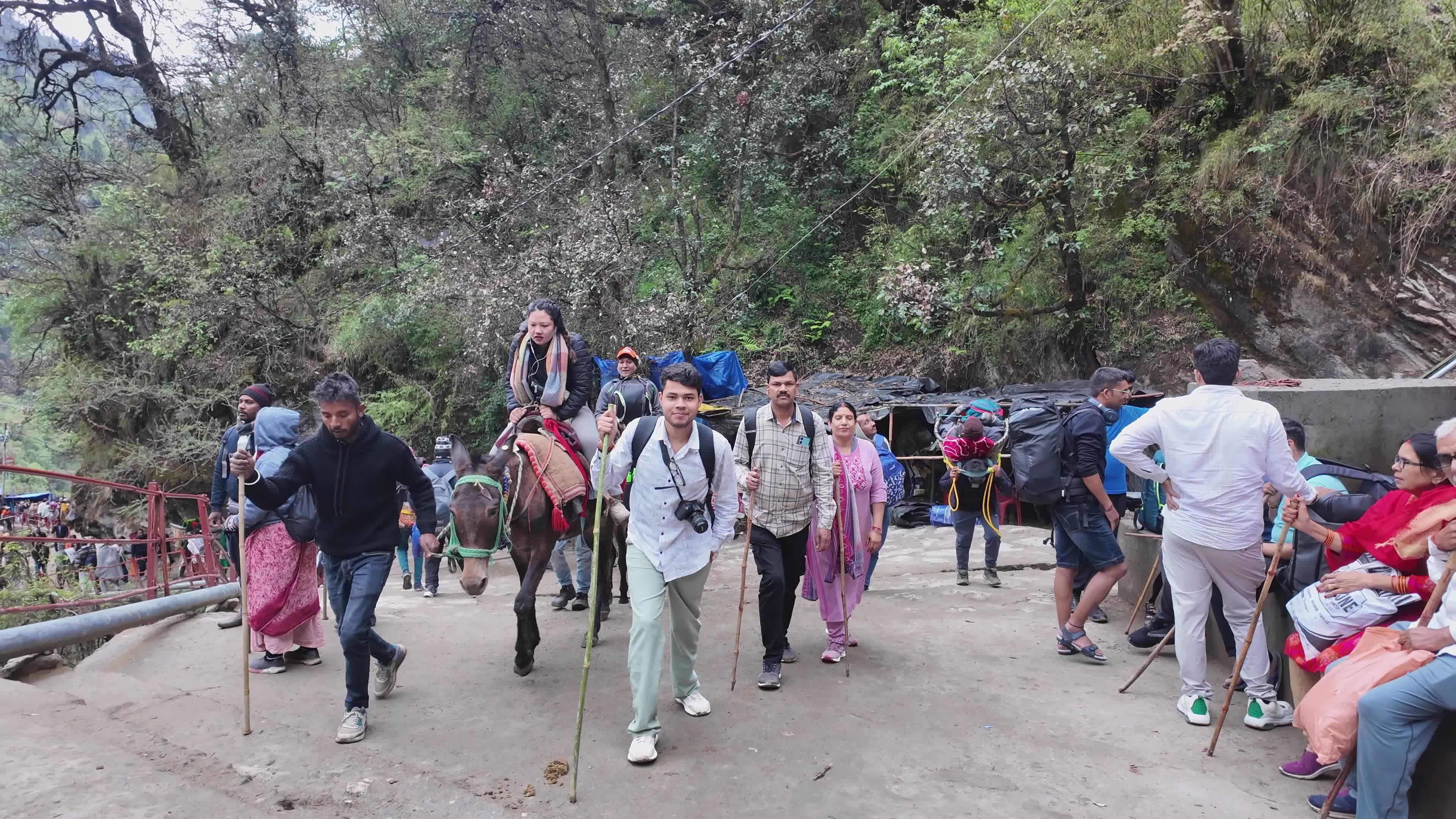 Group Hiking Through Scenic Mountain Trail Free Stock Video Footage ...