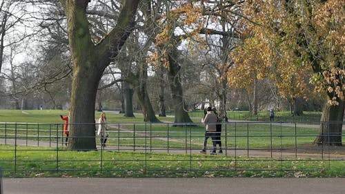 People Enjoying Their Activities In Hyde Park