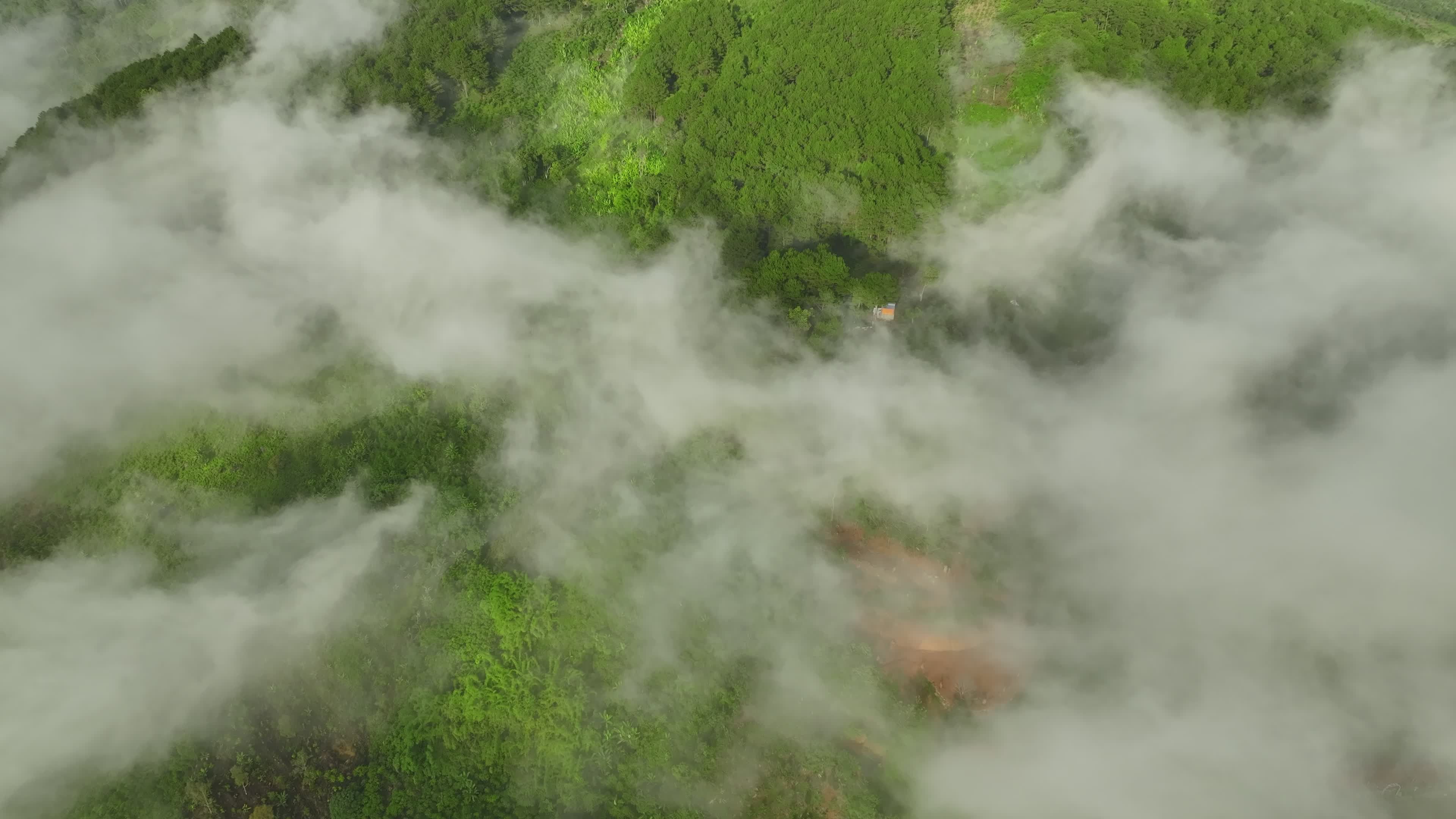 Aerial View of Lush Green Forest with Fog Free Stock Video Footage ...