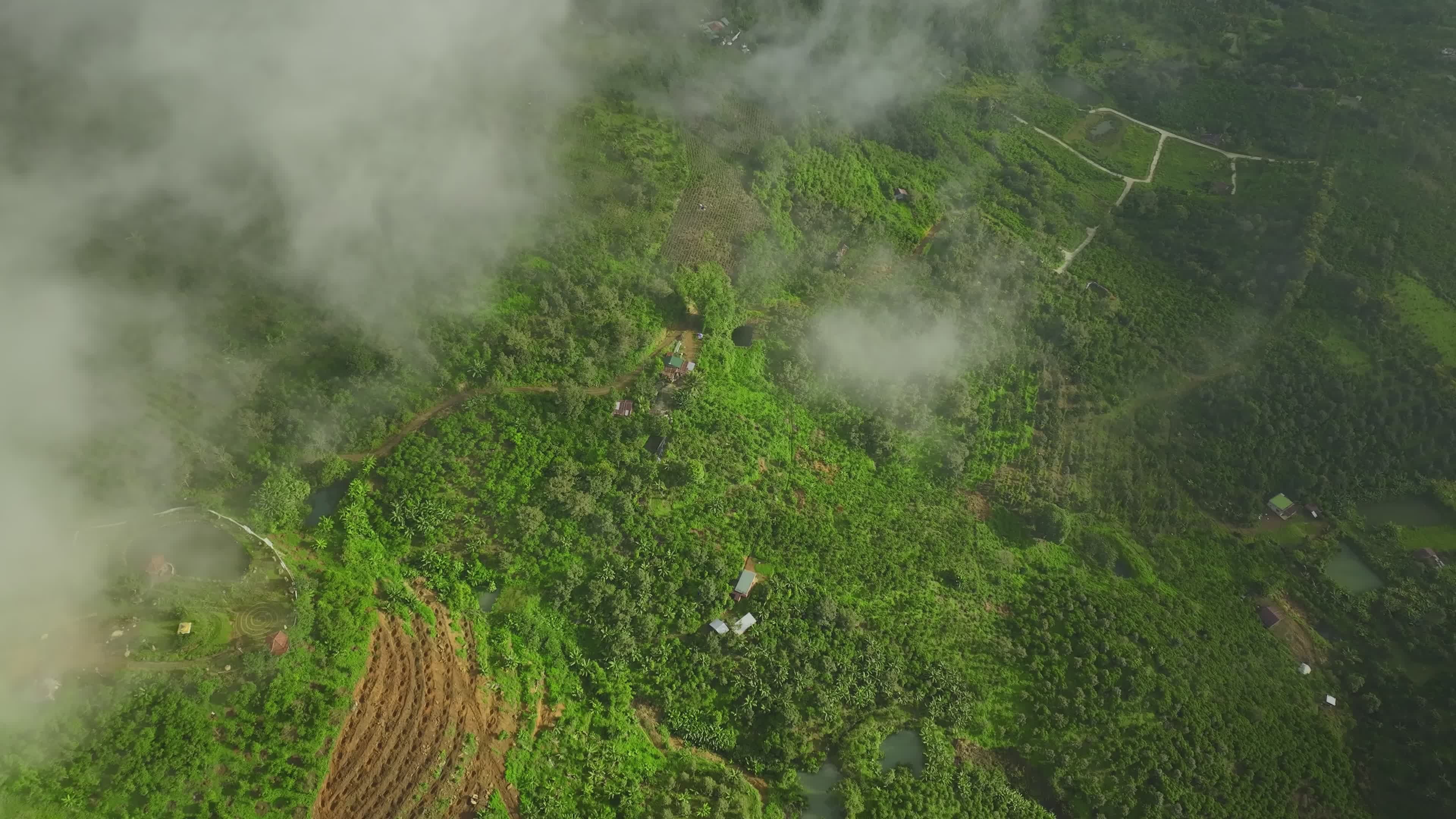 Aerial View of Lush Greenery and Misty Landscape Free Stock Video ...