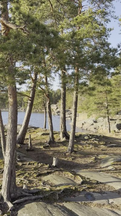 Marlon Castor's nature timelapse video