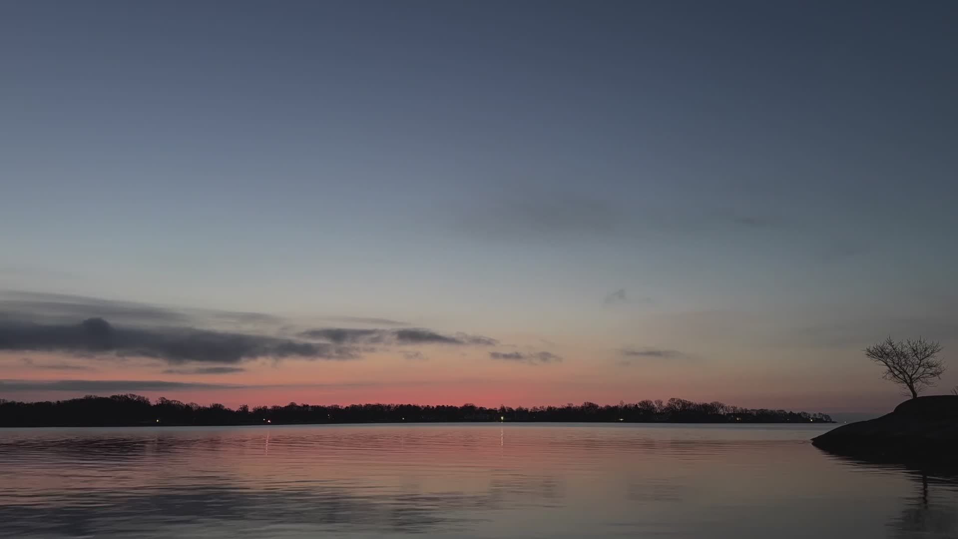 Video by David Kanigan