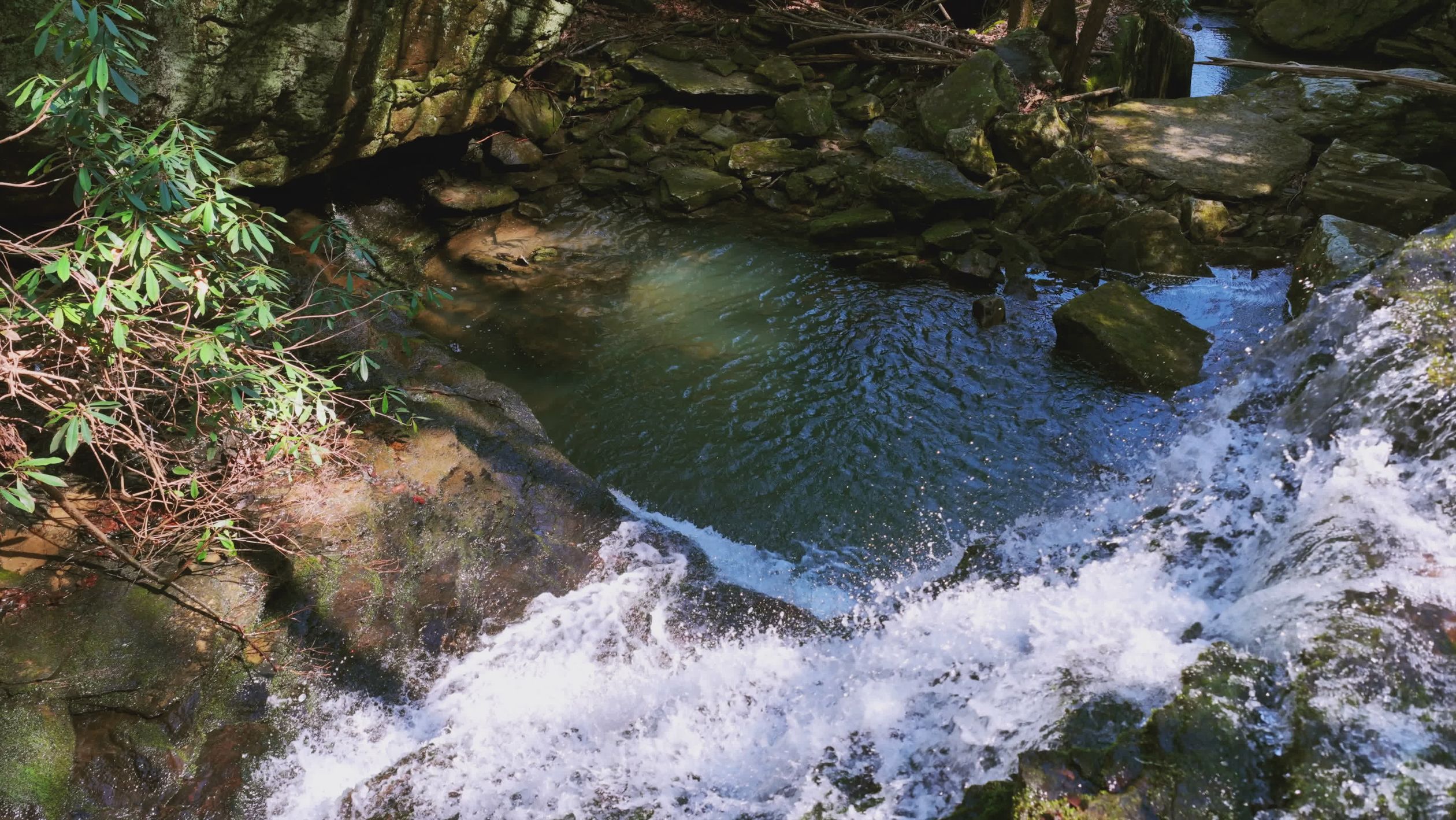 Serene Waterfall Flowing Over Rocks in Forest Free Stock Video Footage ...