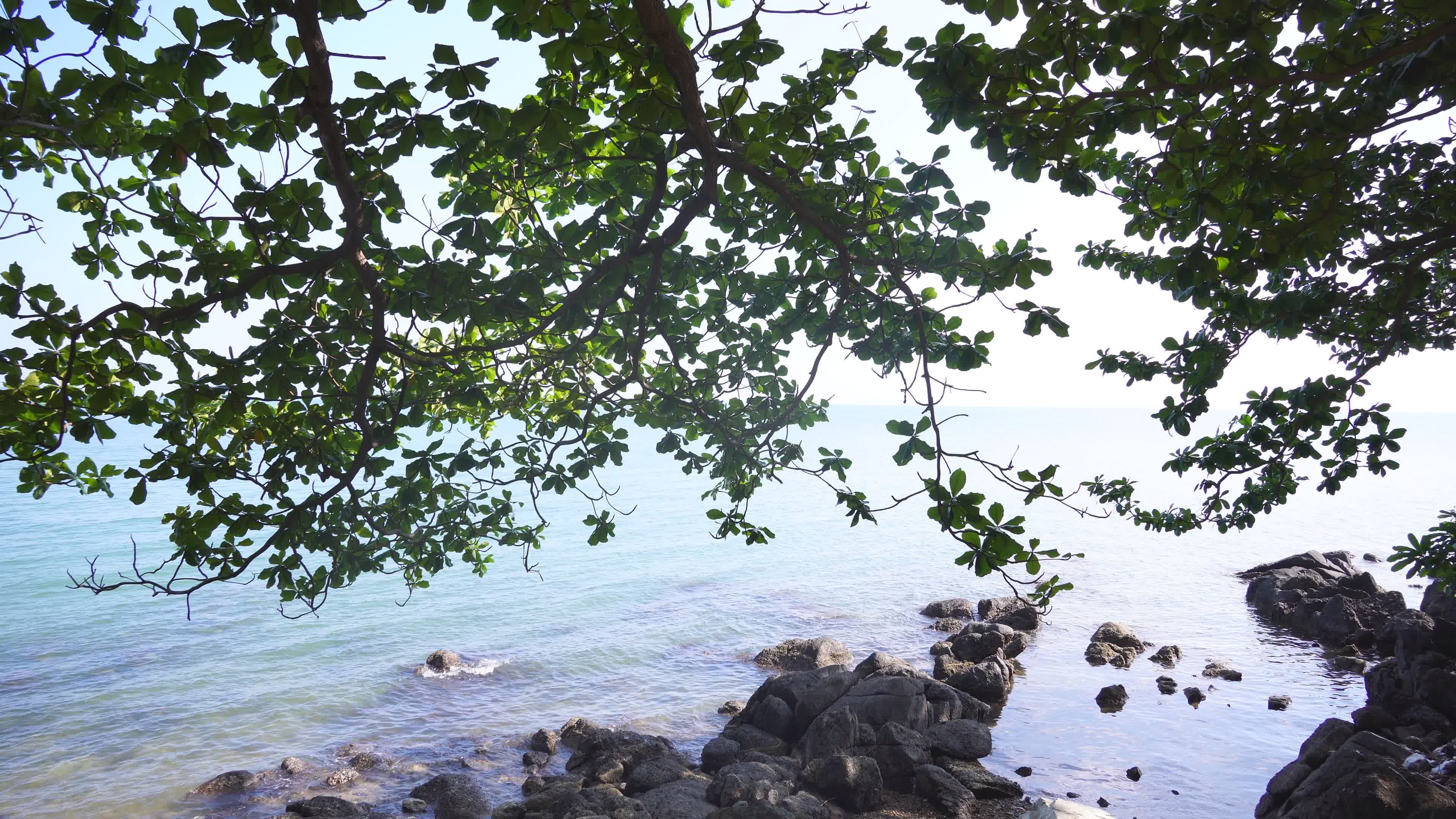 Scenic Beach Overlook with Lush Greenery Free Stock Video Footage ...
