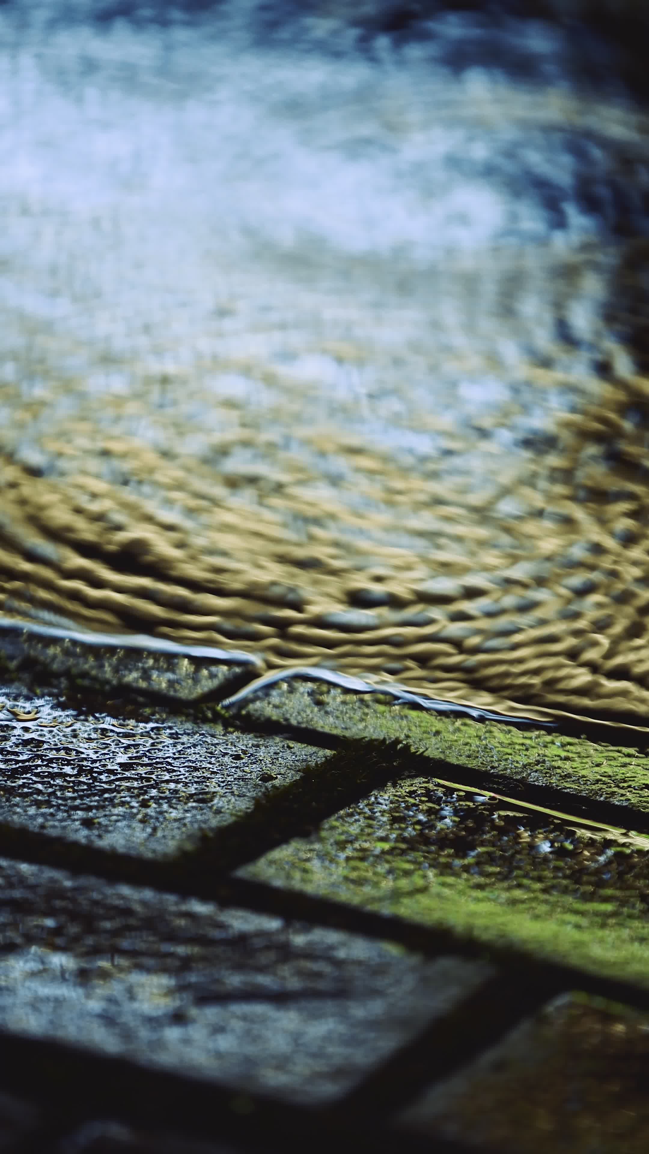 Rainwater Flowing on Stone Pavement Close-Up Free Stock Video Footage ...