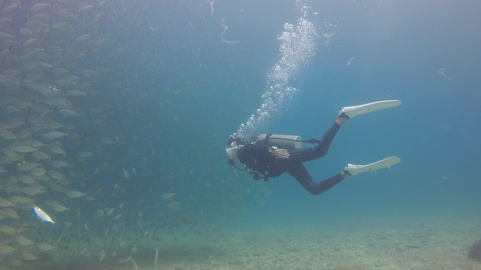 Scuba Diver Exploring Vibrant Underwater World Free Stock Video Footage ...