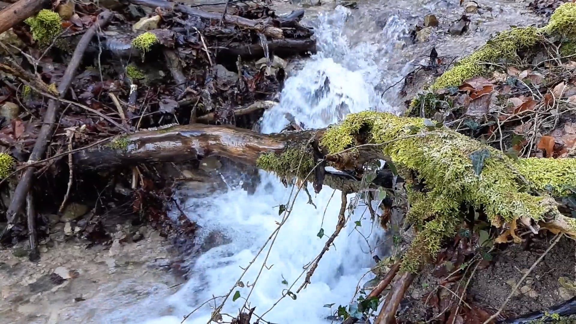 Slow Motion Footage Of A Water Flow In The River Free Stock Video ...