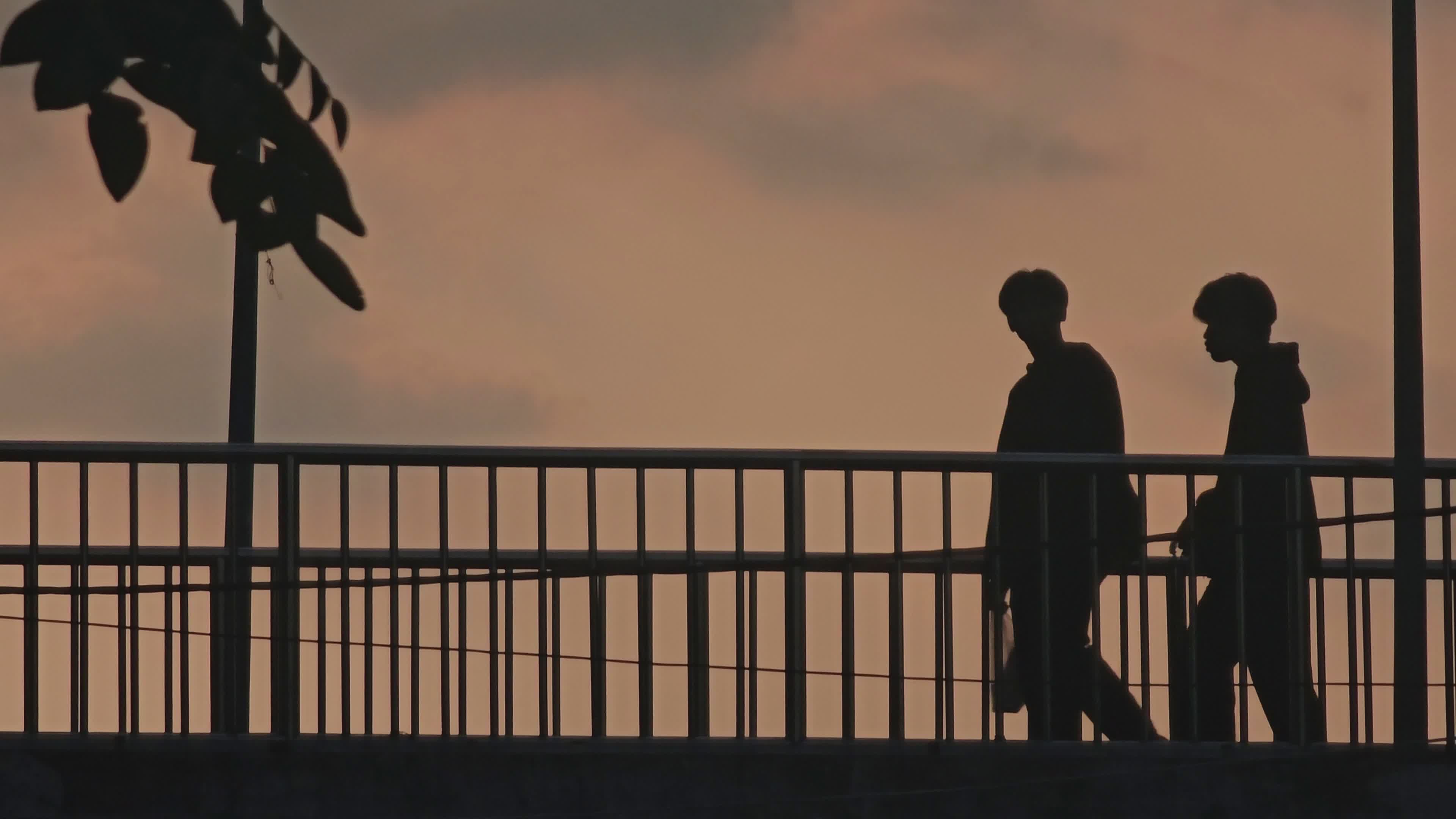 Silhouette of Two People Walking at Sunset Free Stock Video Footage ...