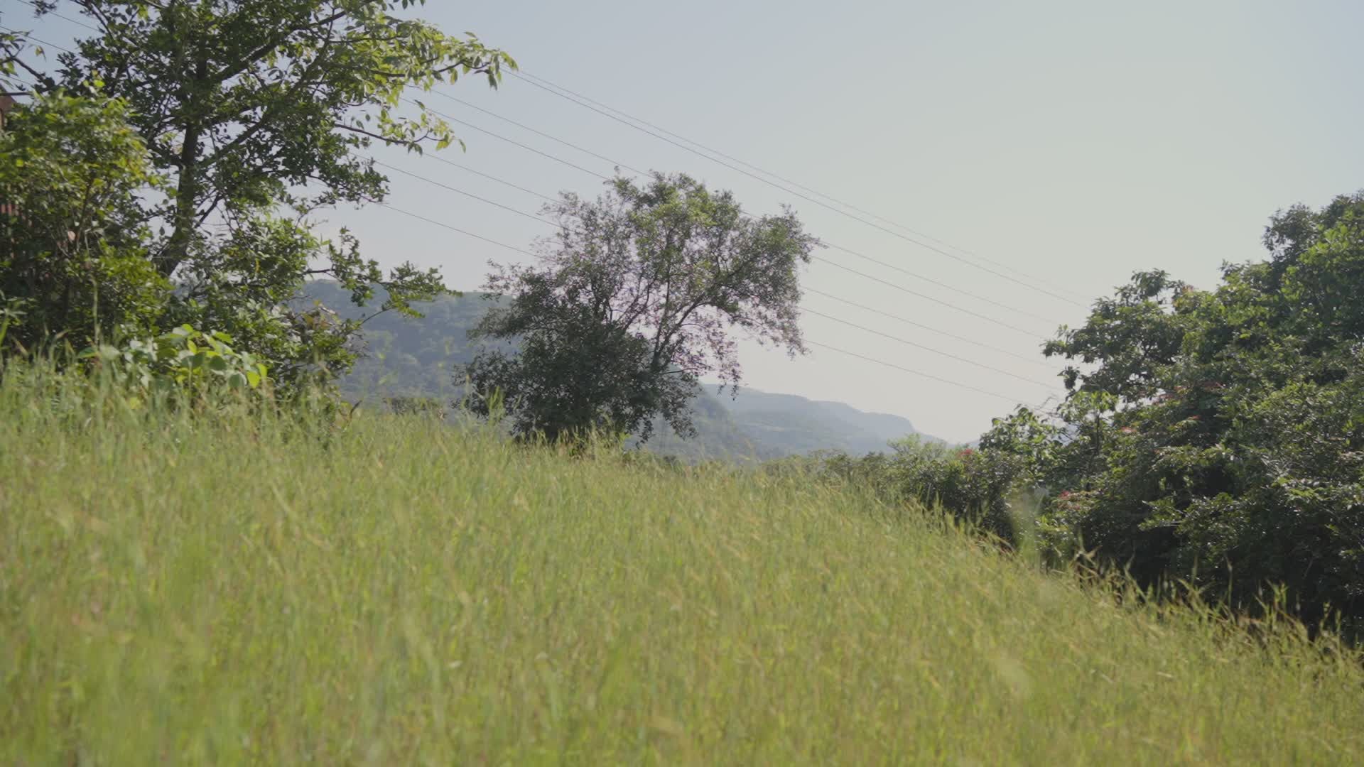 Video by Harshal  .