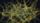 brain neurons