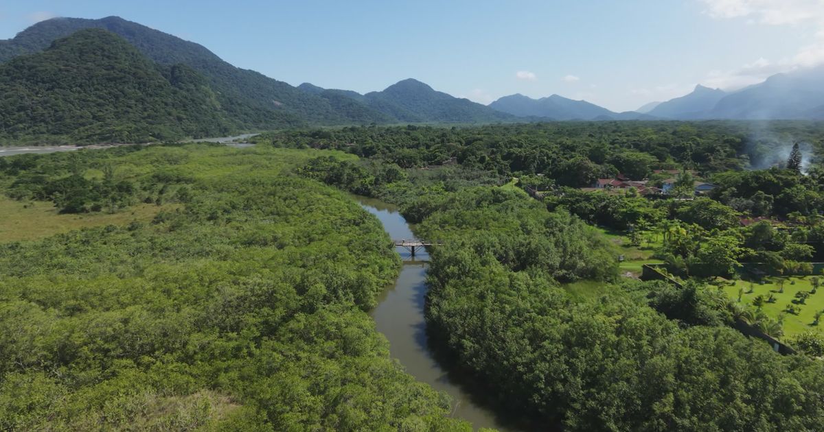 aerial view of coastal brazilian landscape 37127525 — free pexels stock footage