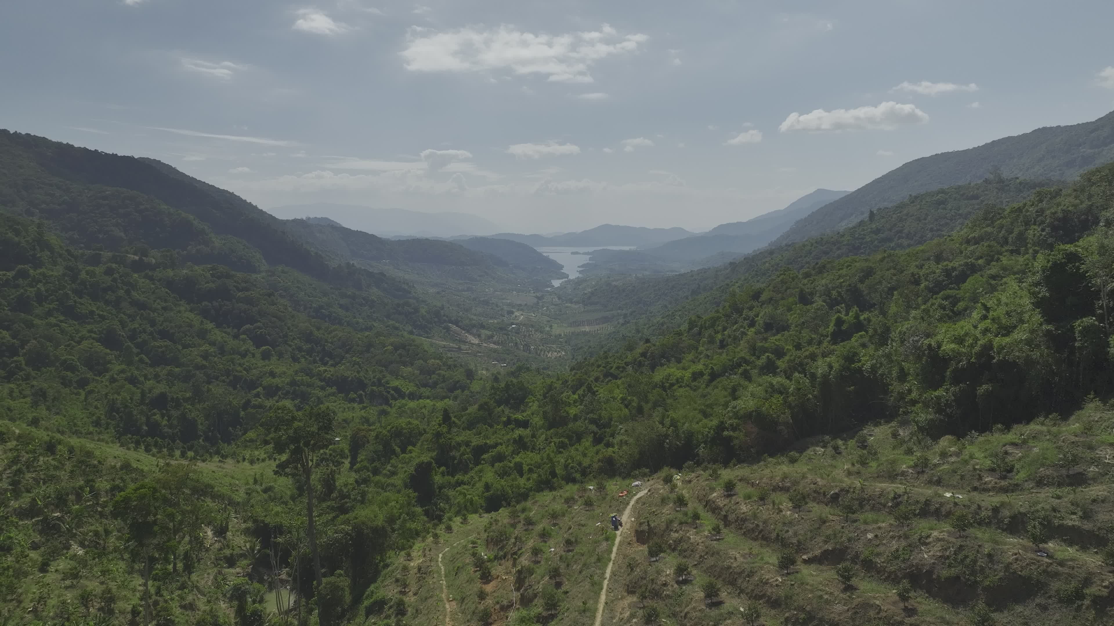 Video by Serg Alesenko