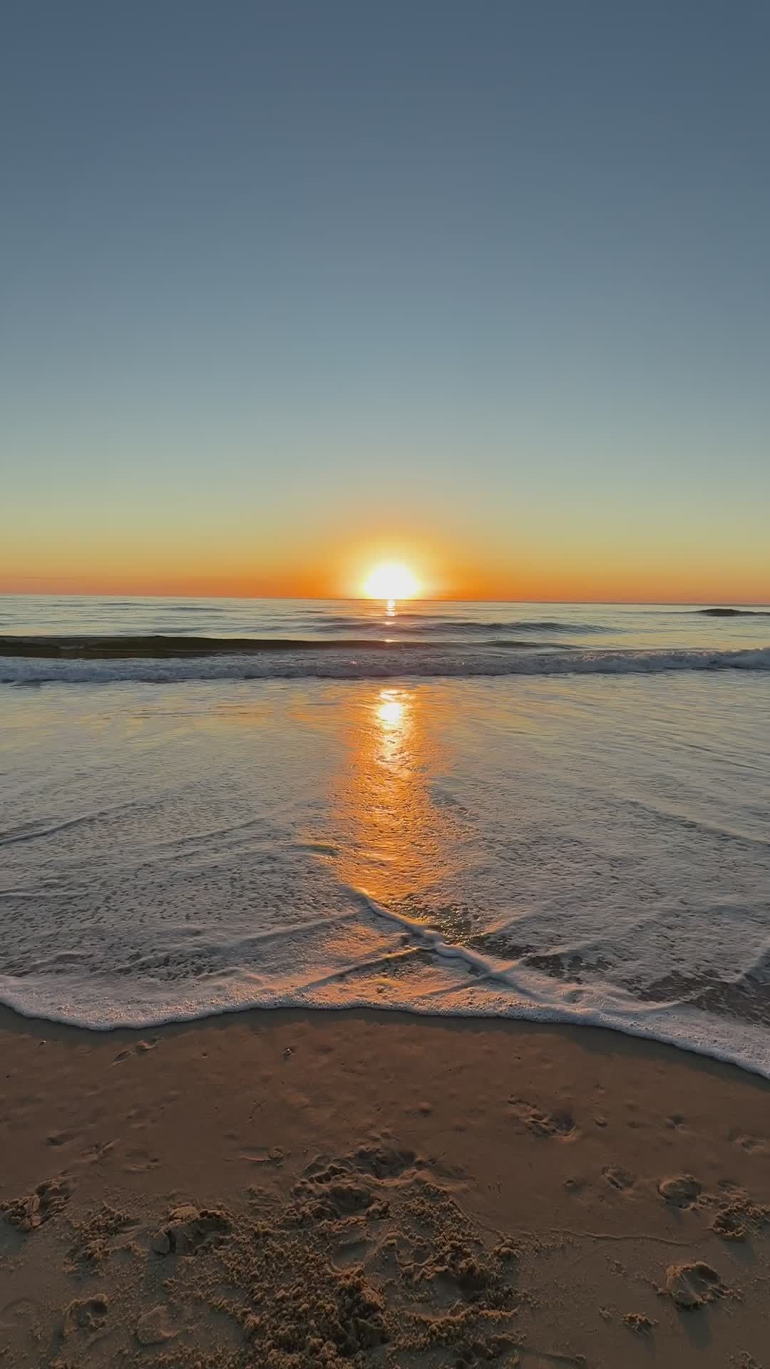 Serene Ocean Sunrise with Gentle Waves Free Stock Video Footage ...