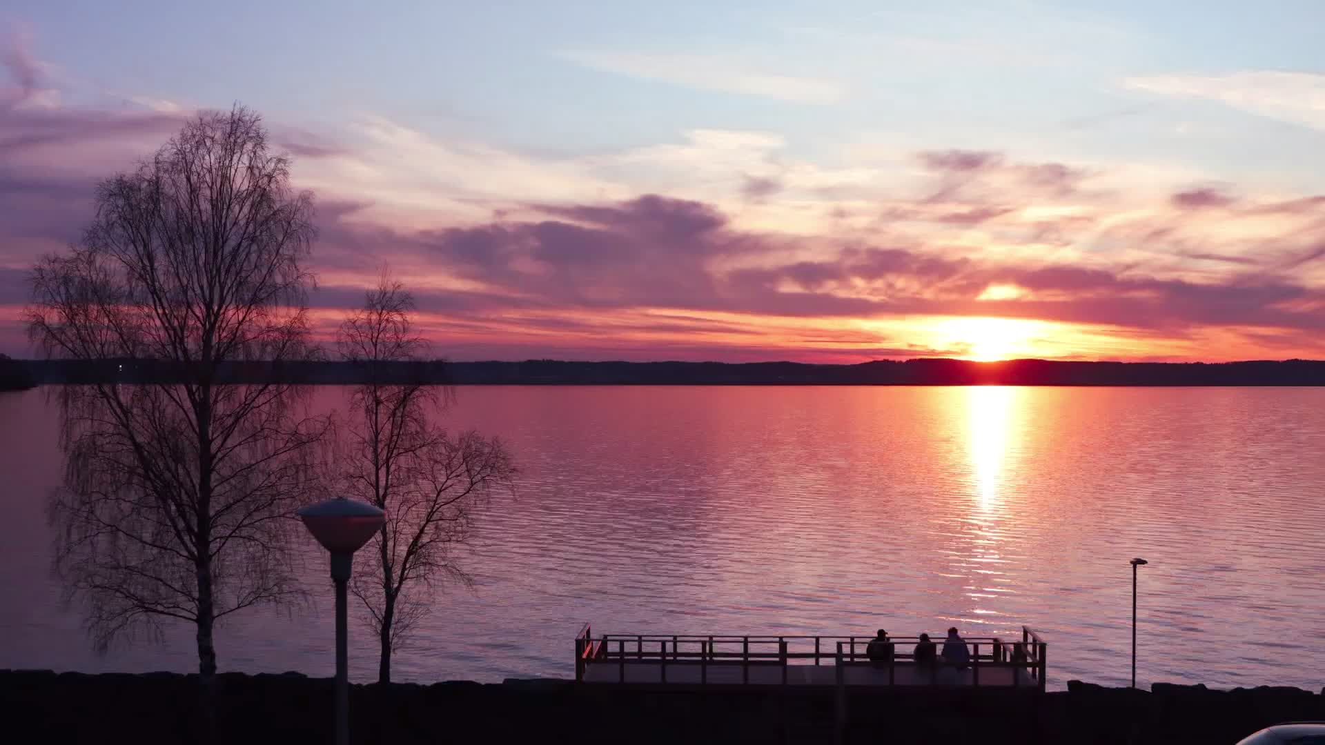 Serene Lakeside Sunset with Silhouetted Trees Free Stock Video Footage ...