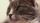 cat close up