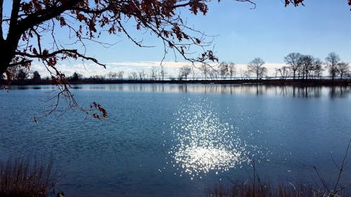 Filmati Del Lago Con La Riflessione Del Sole