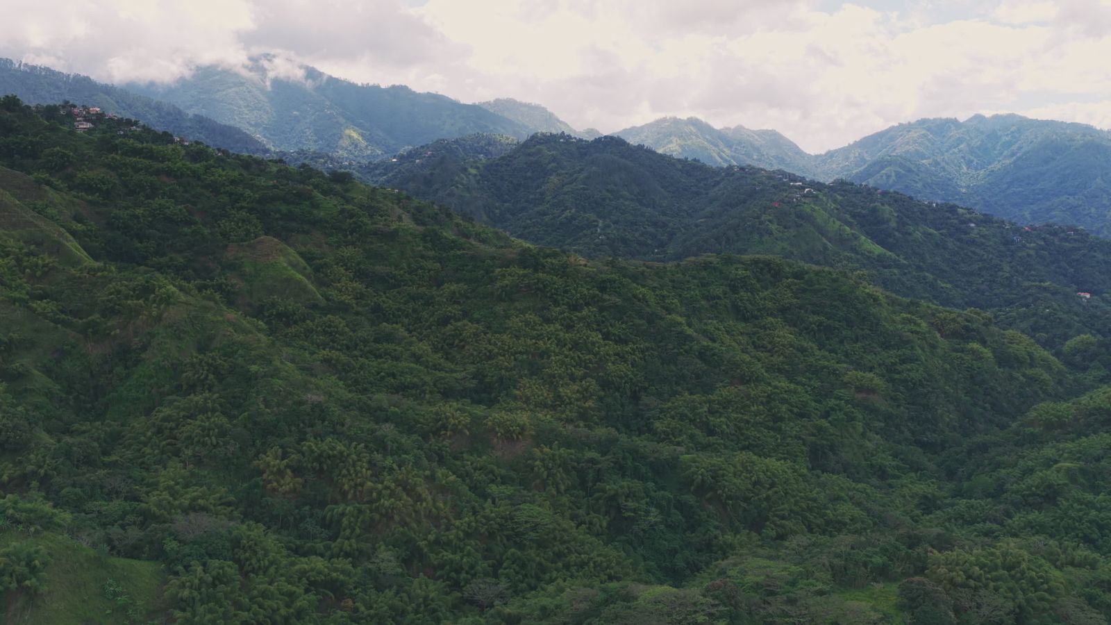 Serene Aerial View of Lush Tropical Rainforest Free Stock Video Footage ...