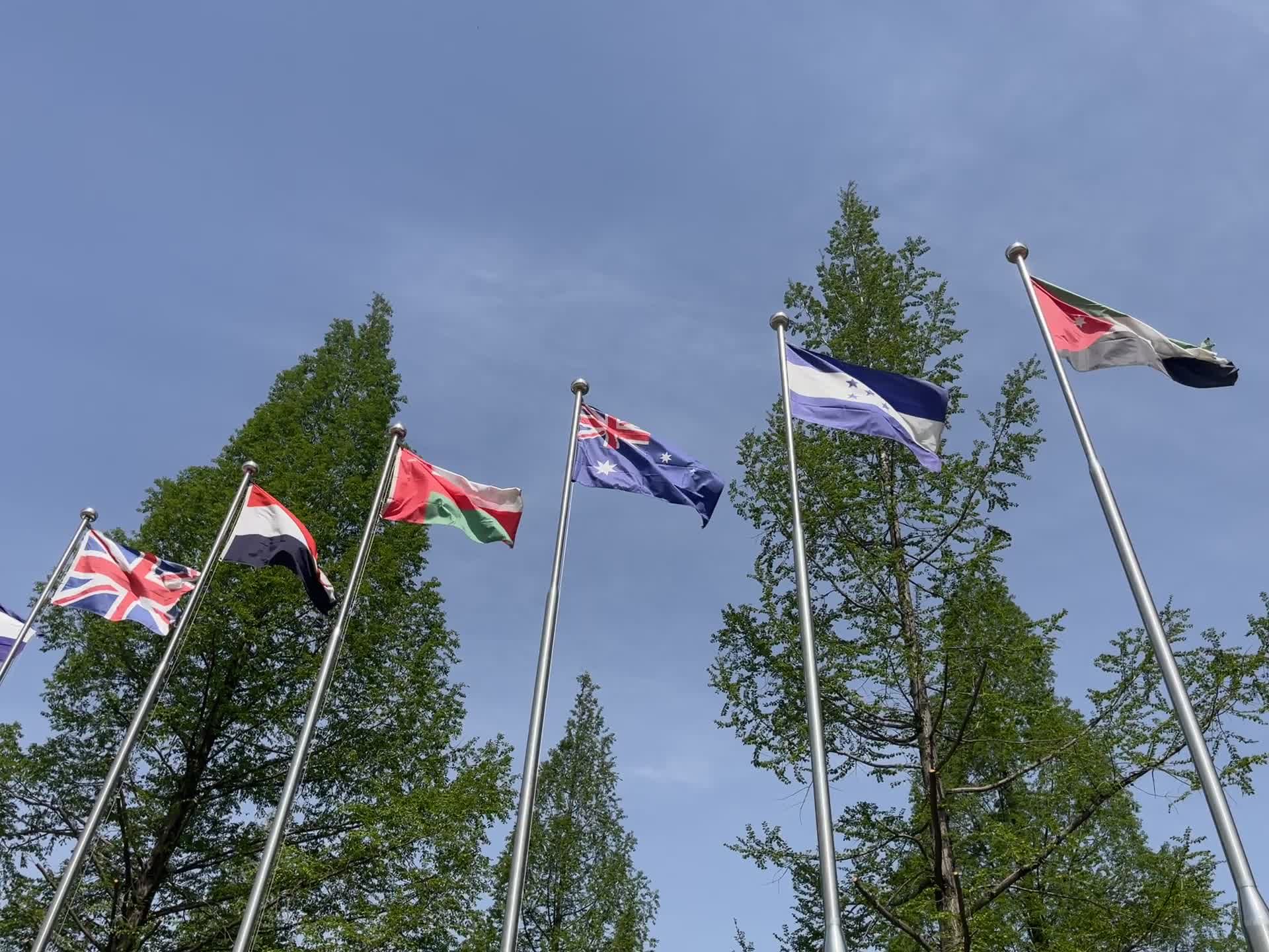 Flags waving in the breeze beneath blue sky Free Stock Video Footage ...