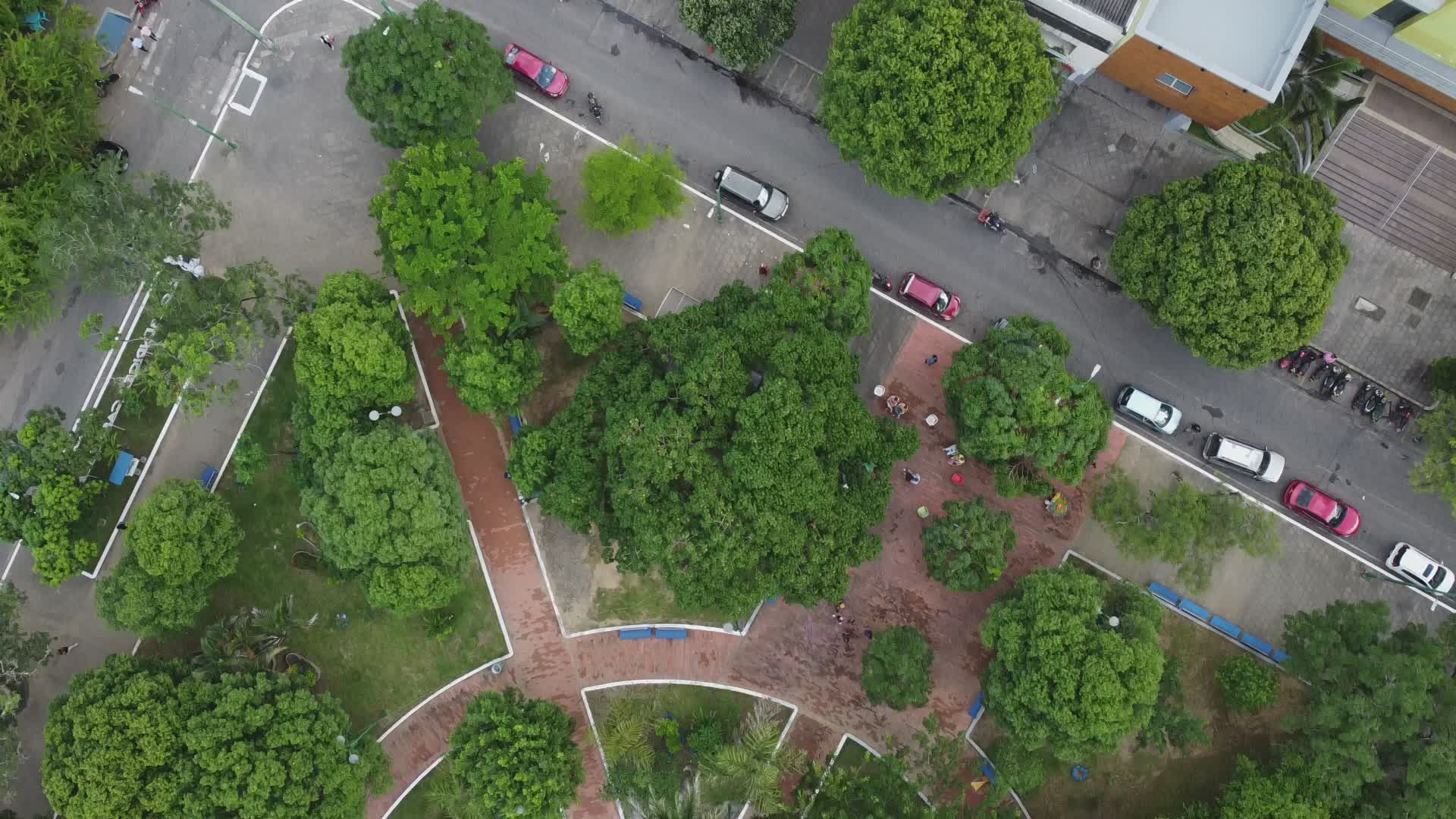 Aerial View of Lush Green Urban Park with Fountain Free Stock Video ...