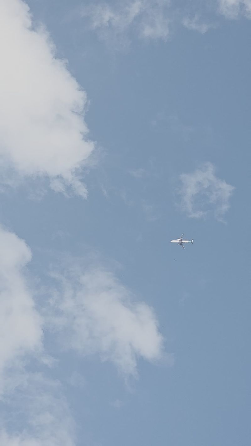 Silhouette of Airplane Against Gray Sky Free Stock Video Footage ...