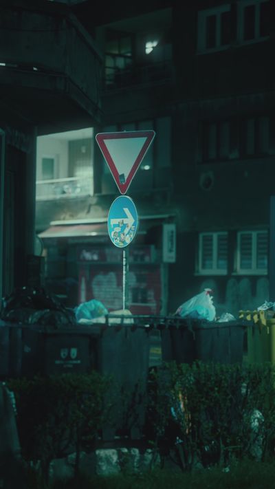 liathyrax's cyberpunk aesthetic video