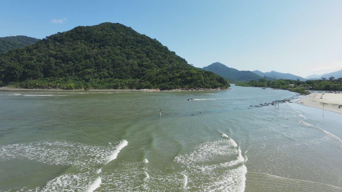 Drone Footage of a Rainforest by the Sea Free Stock Video Footage ...