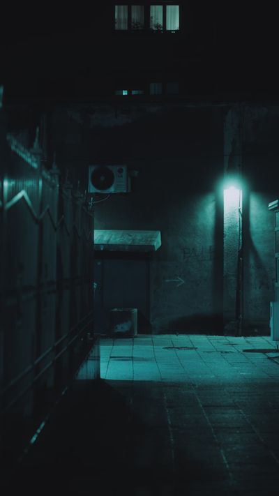 liathyrax's cyberpunk aesthetic video