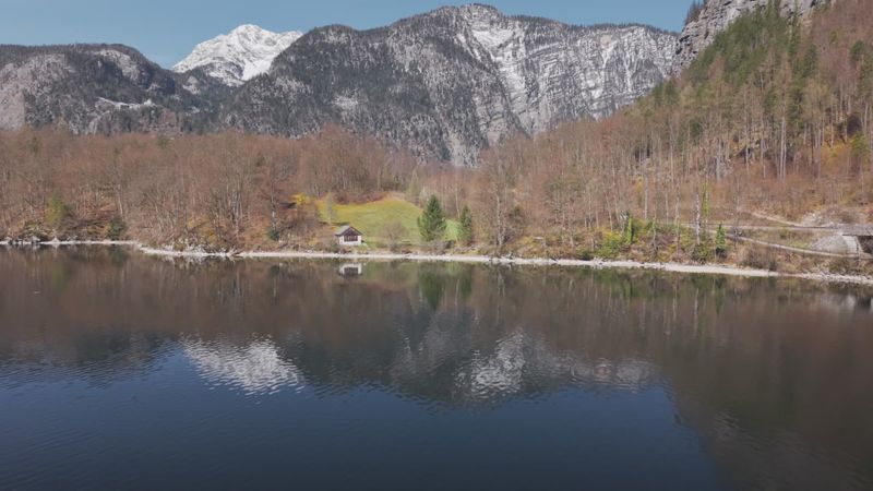 Peaceful Mountain Lake with Forest Reflections Free Stock Video Footage ...