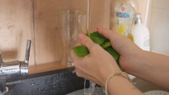 洗菜高清视频免费下载视频素材