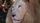 white lion