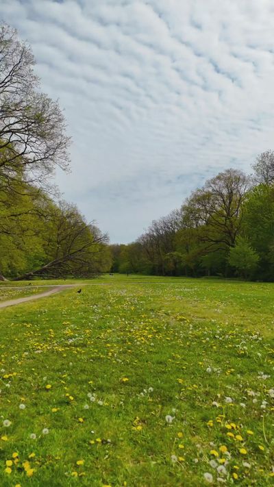 A.S. Kacar's nature timelapse video
