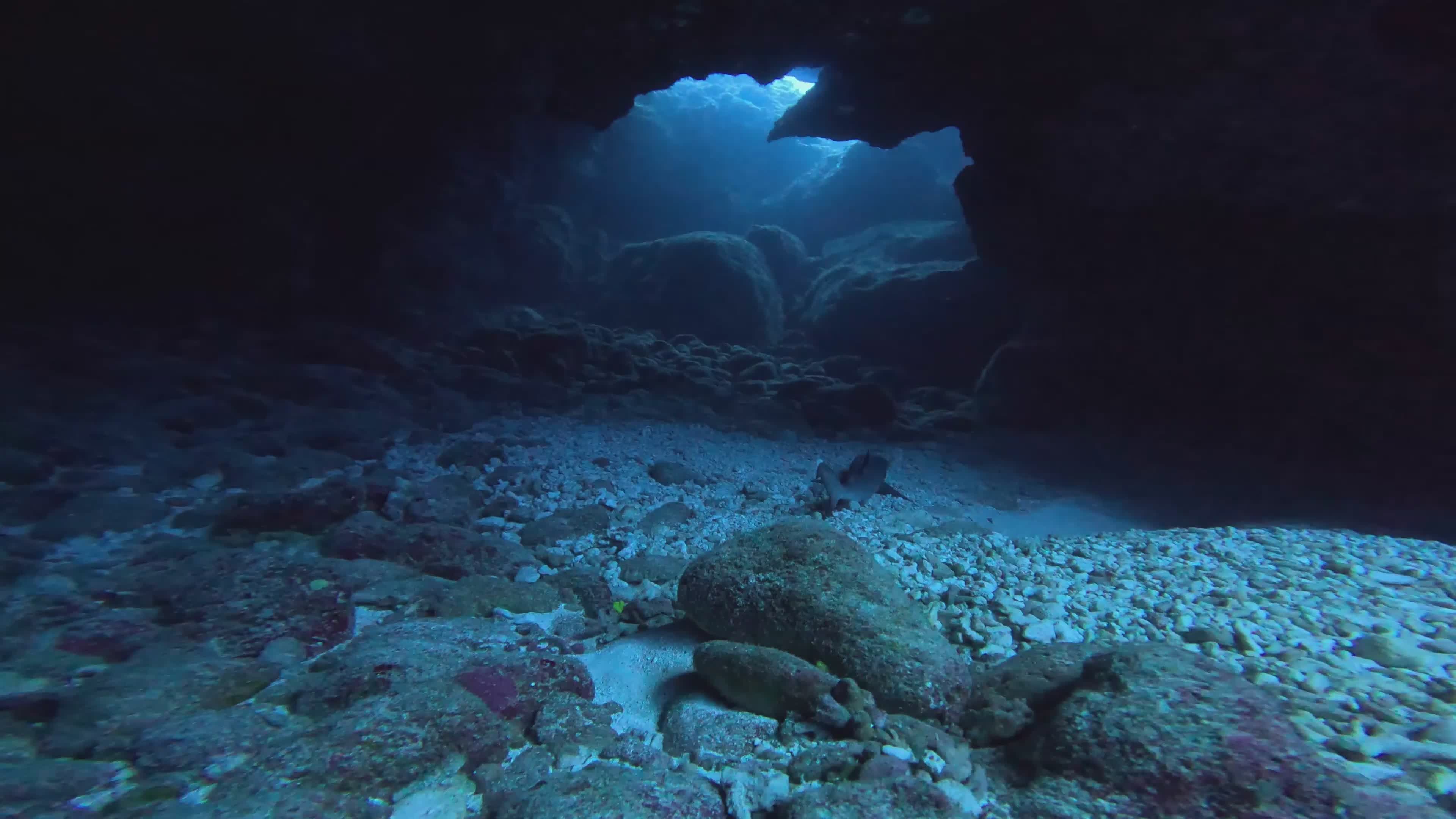 Explore a Stunning Underwater Cave Adventure Free Stock Video Footage ...