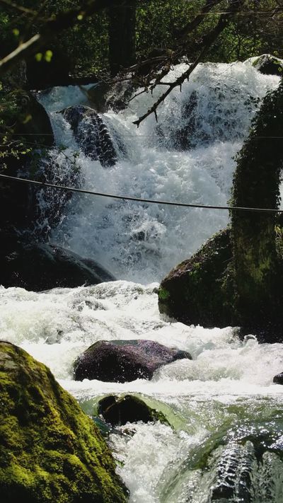 Ozan Aldemir's nature timelapse video