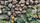 stone wall