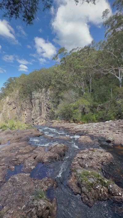 David Pickup |  Advertising & Marketing  🇬🇧's nature timelapse video